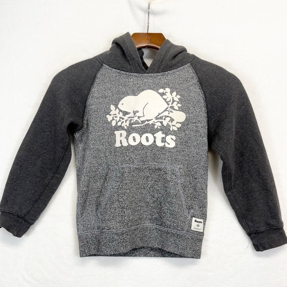 Roots Kids Dark Gray and Heather Gray Hoodie - Picture 1 of 8